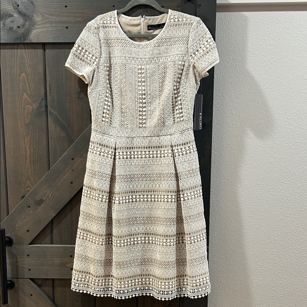 Elegant Cream Lace Dress